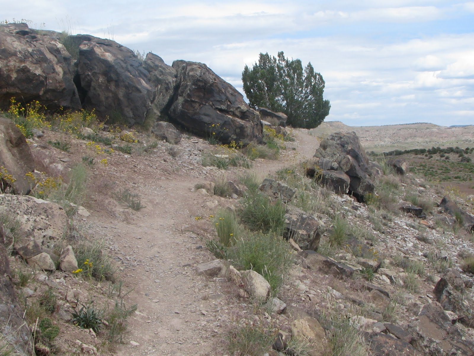 June 28th, Trail Through Time